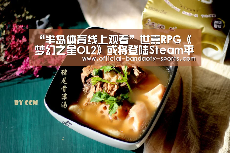 “半岛体育线上观看”世嘉RPG《梦幻之星OL2》或将登陆St