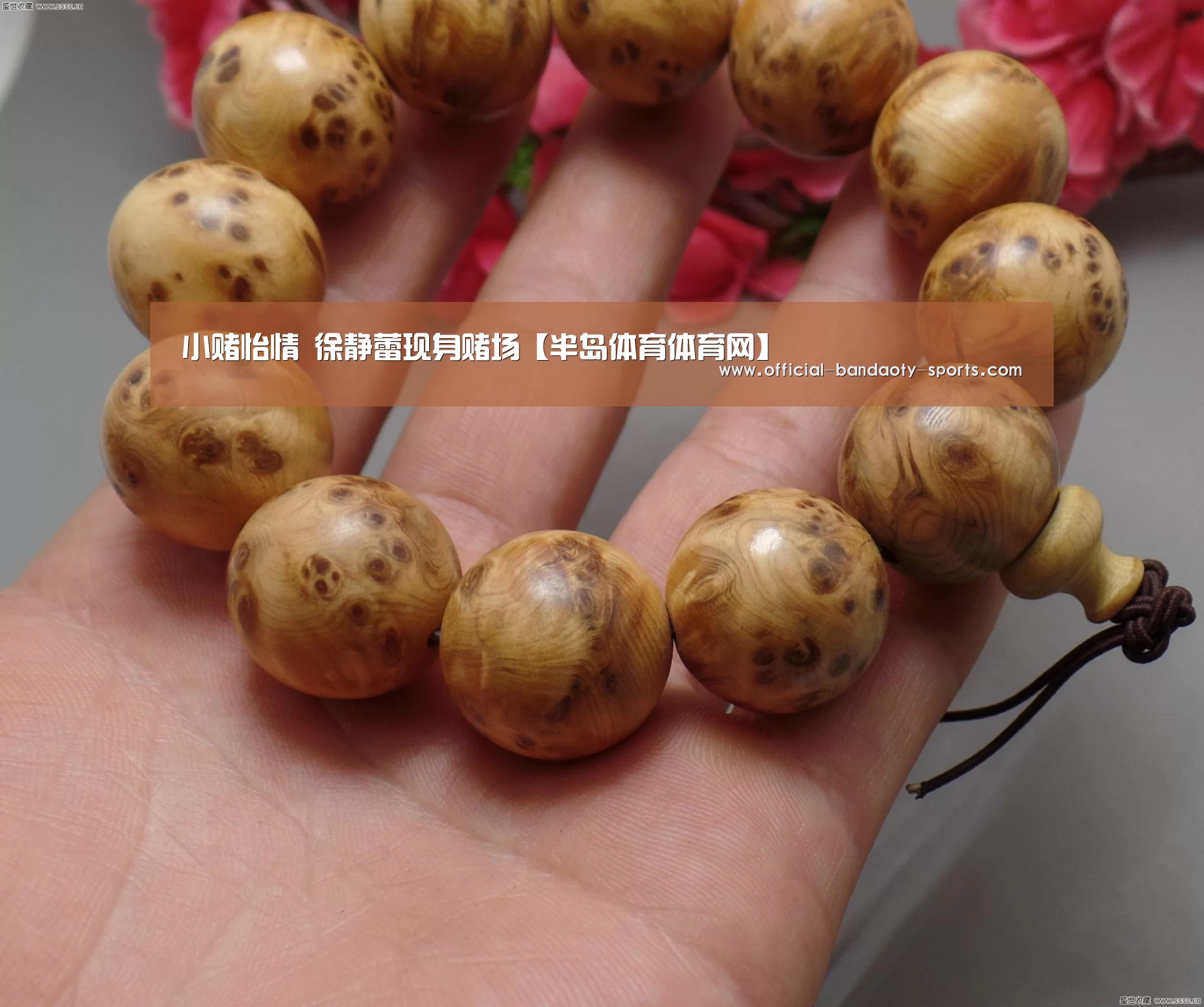 半岛体育体育网