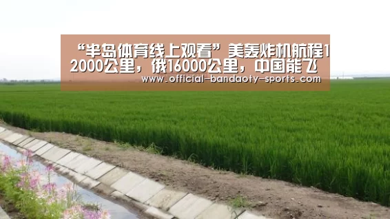 半岛体育体育网